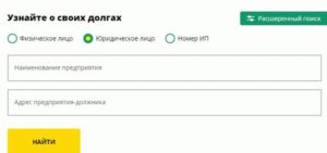 Задолженность посмотреть по элементам город тулун