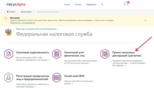 Можно ли подать 3 ндфл через госуслуги без посещения налоговой заявление