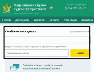 Задолженность посмотреть по элементам город тулун