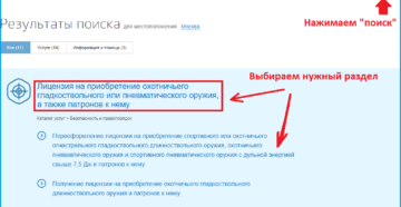 Как получить лицензию на травматическое оружие через госуслуги Как получить лицензию на травматическое оружие через госуслуги