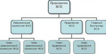 Может ли председатель жск быть бухгалтером