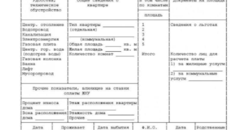 Бланк финансовая выписка из лицевого счета образец