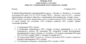 Образец решение единственного участника о продаже доли в ооо образец 2018