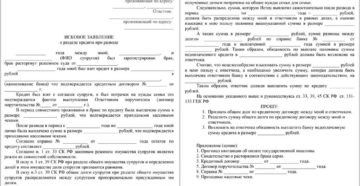 Исковое заявление о разделе общих долгов супругов
